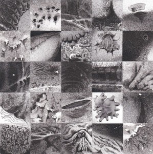 Kliknij, aby powiększyć zdjęcie.